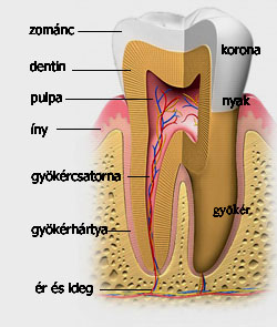 periodontális betegségek kezelésére diabetes